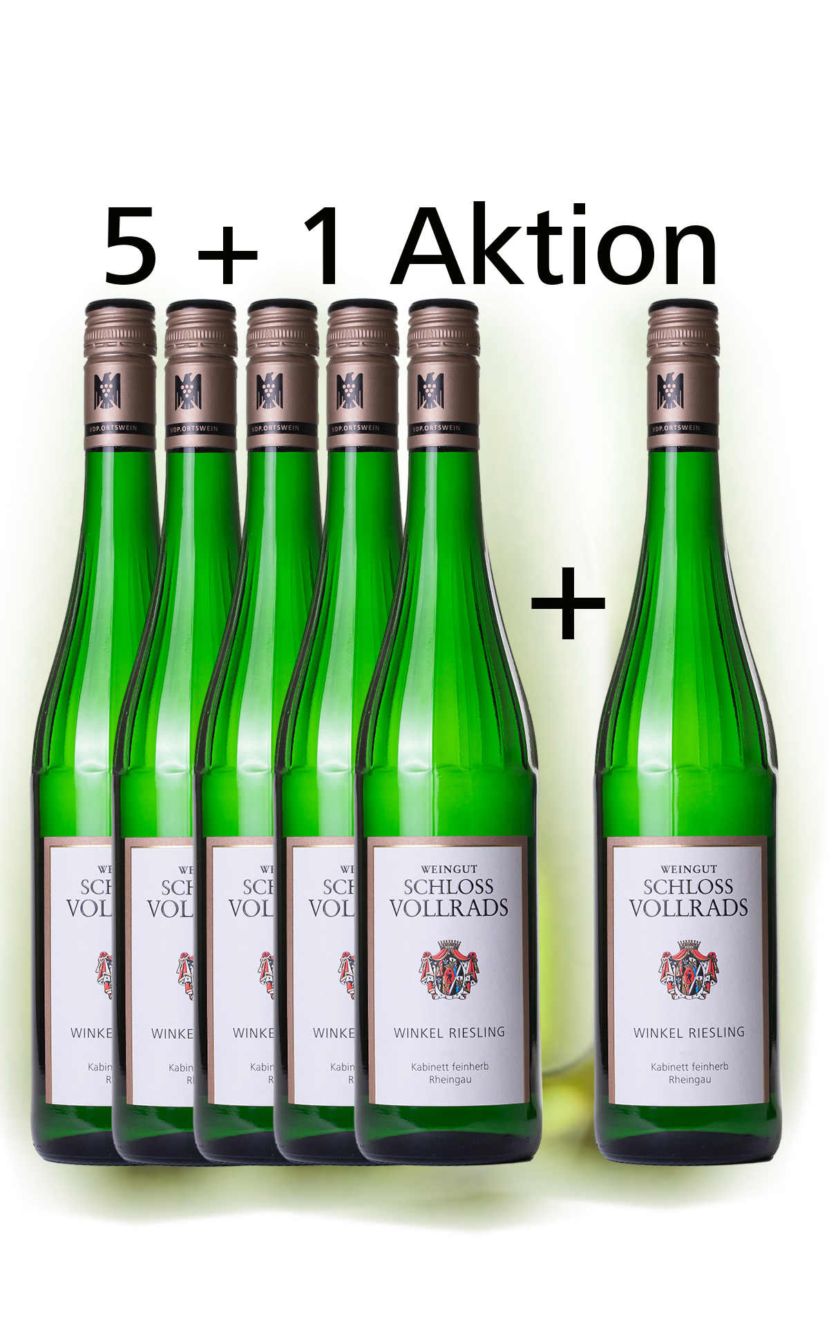5+1 Aktion WINKEL Riesling Feinherb 2019